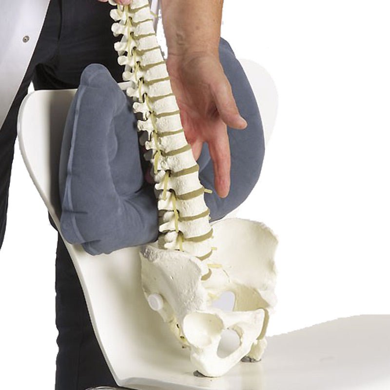 Sidde - og lændepude - Oppustelig - Seniorshop